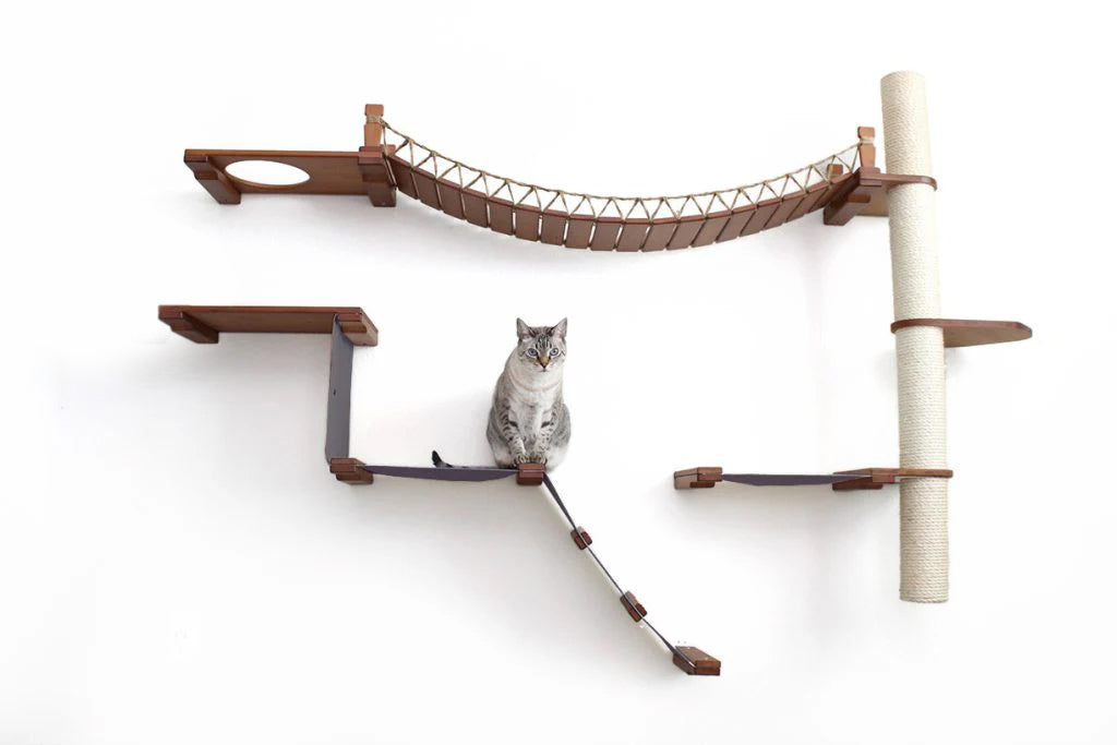 The Expedition - Cat Jungle Gym Wall System by Catastrophic Creations