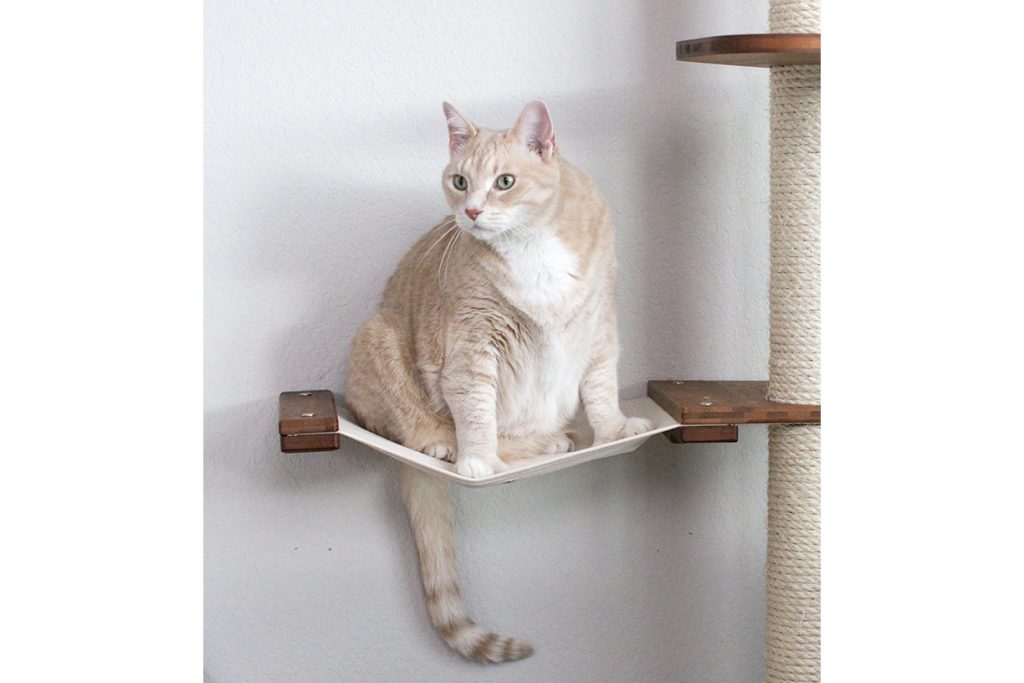 The Expedition - Cat Jungle Gym Wall System by Catastrophic Creations