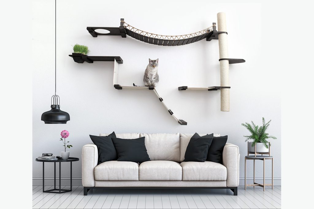 The Expedition - Cat Jungle Gym Wall System by Catastrophic Creations