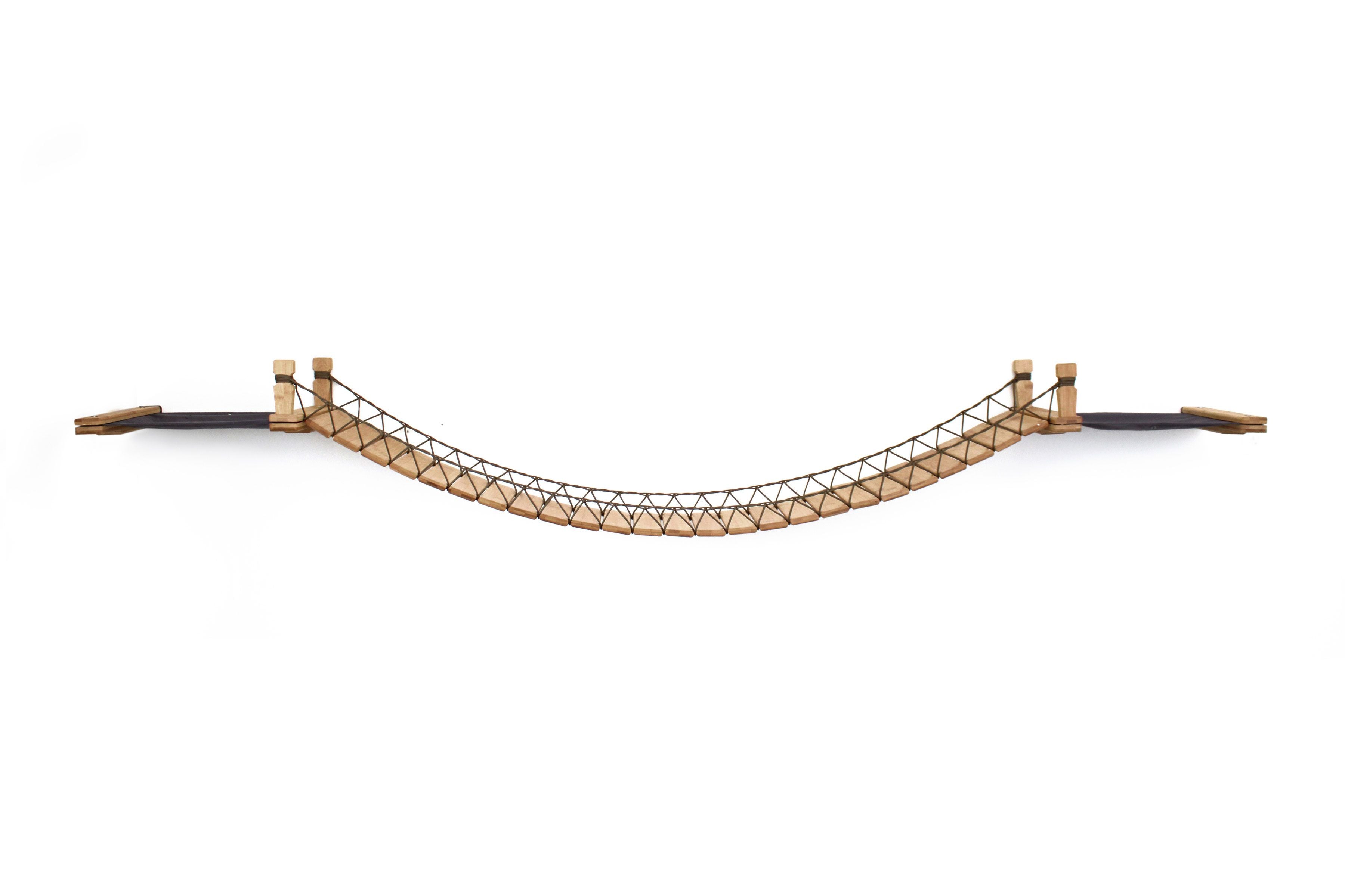 Double Cat Hammock and Climbing Bridge Combo by Catastrophic Creations