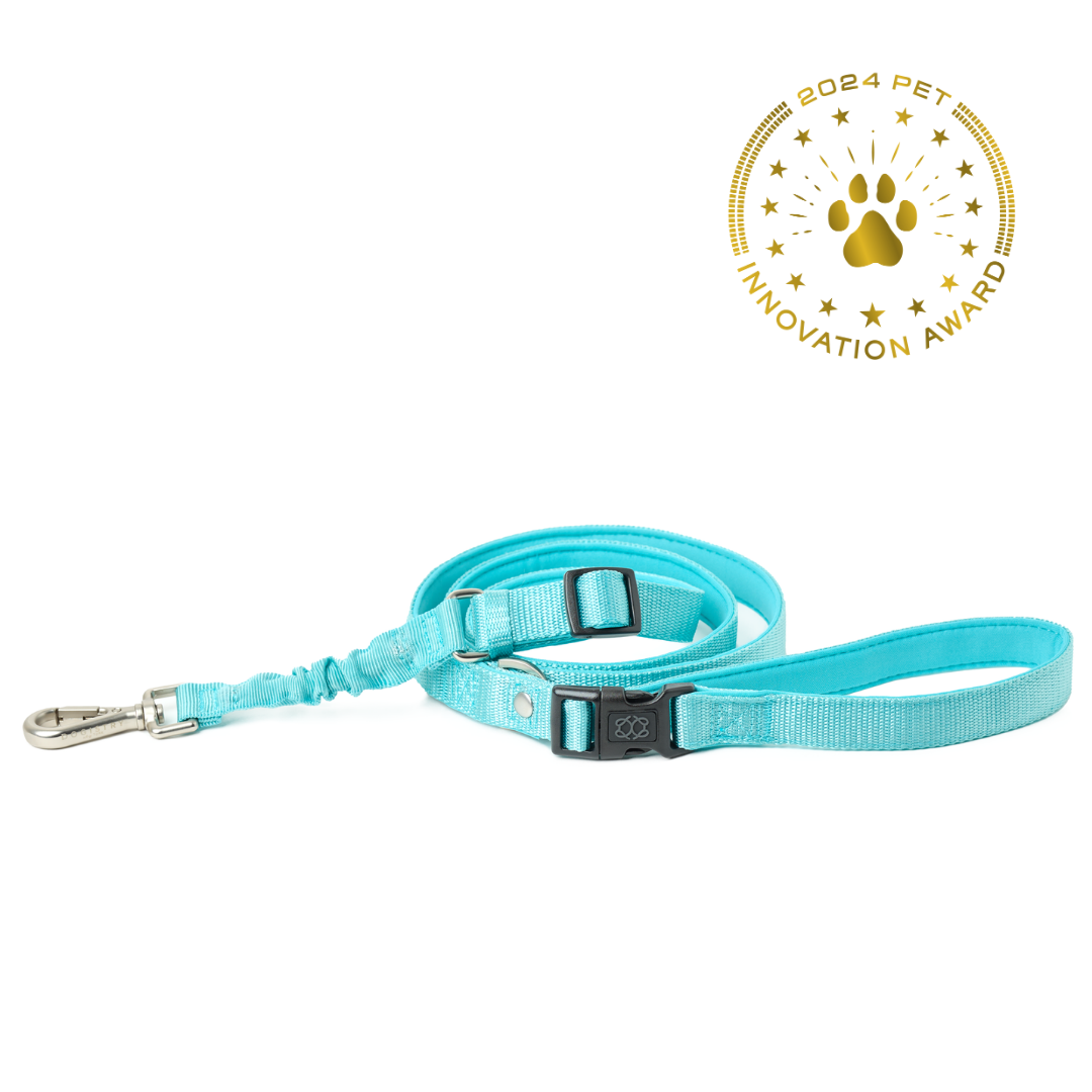 City Dog Leash - Fifth Avenue Blue