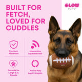 Squeaky Football Dog Toy