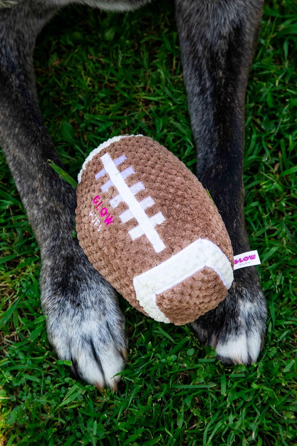 Squeaky Football Dog Toy