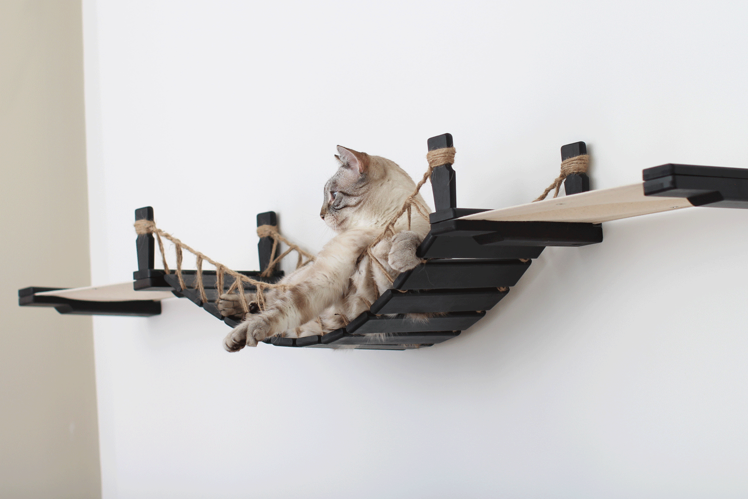 Double Cat Hammock and Climbing Bridge Combo by Catastrophic Creations