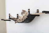 Double Cat Hammock and Climbing Bridge Combo by Catastrophic Creations