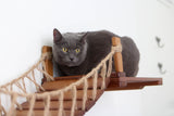 Cat Wall Bridge and Shelf Set by Catastrophic Creations