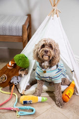 Rainbow Tie Dye Leash