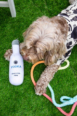 Squeaky Pawty Pups Vodka Plush Dog Toy