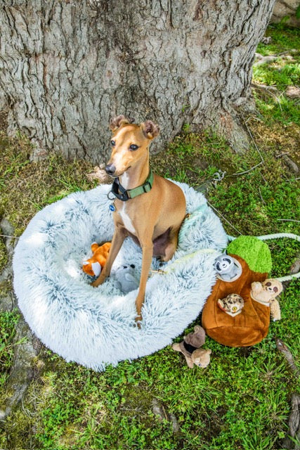 Calming Faux Fur Dog Bed with Memory Foam Bolster