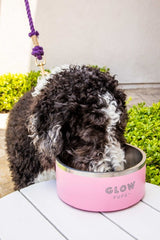 Light Pink Stainless Steel Dog Bowl