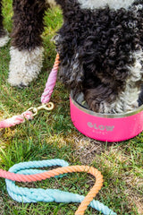 Rainbow Tie Dye Leash