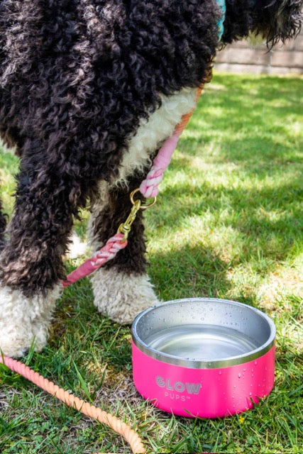 Bright Pink Stainless Steel Dog Bowl