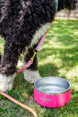 Bright Pink Stainless Steel Dog Bowl