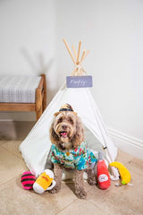 White Pet Teepee Dog Bed