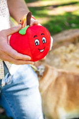 Tomato Plush Dog Toy with Squeaker