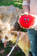 Tomato Plush Dog Toy with Squeaker