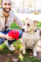 Tomato Plush Dog Toy with Squeaker