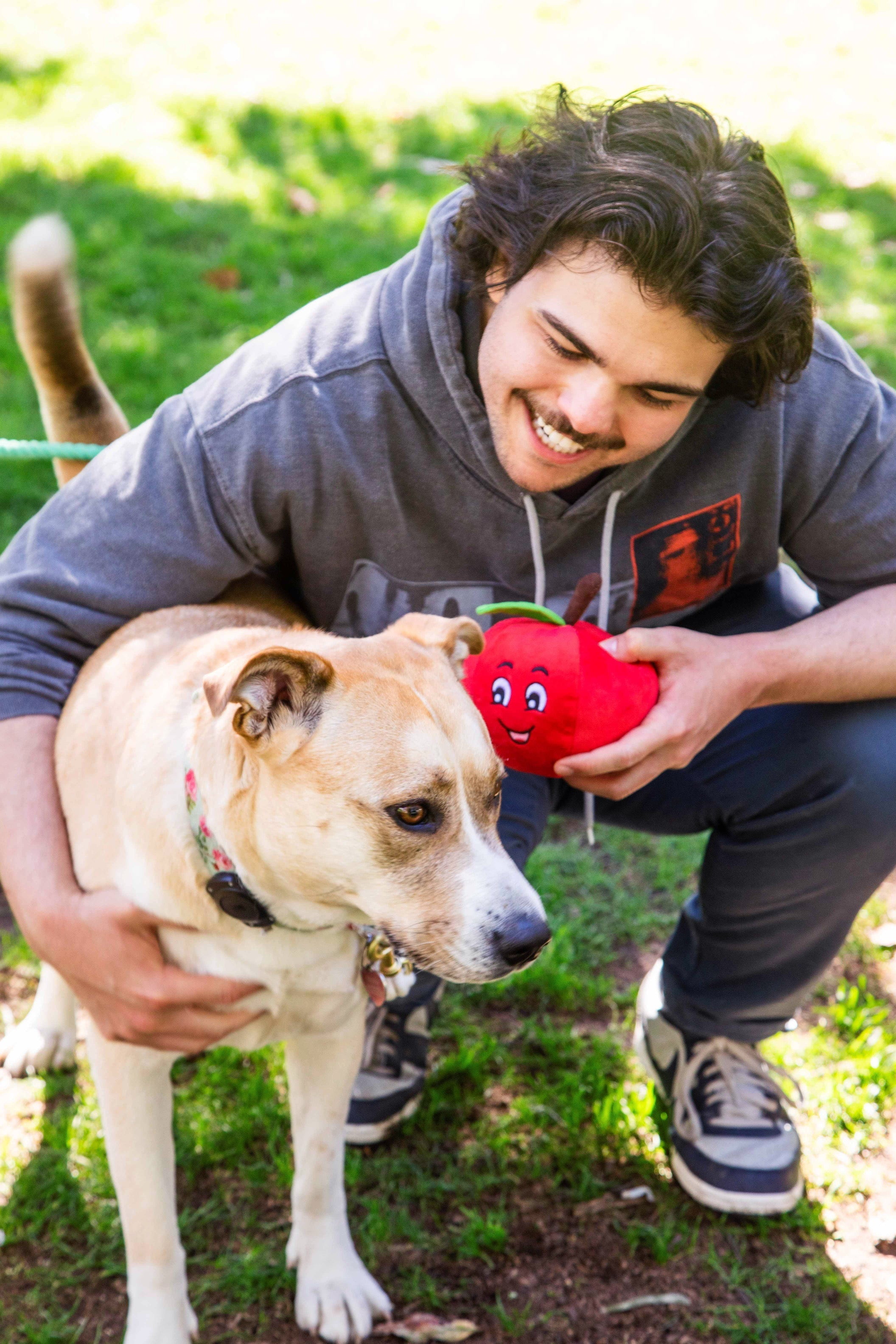 Tomato Plush Dog Toy with Squeaker