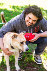 Tomato Plush Dog Toy with Squeaker