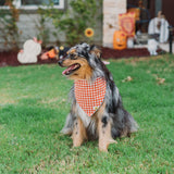 Rusted Check Dog Bandana