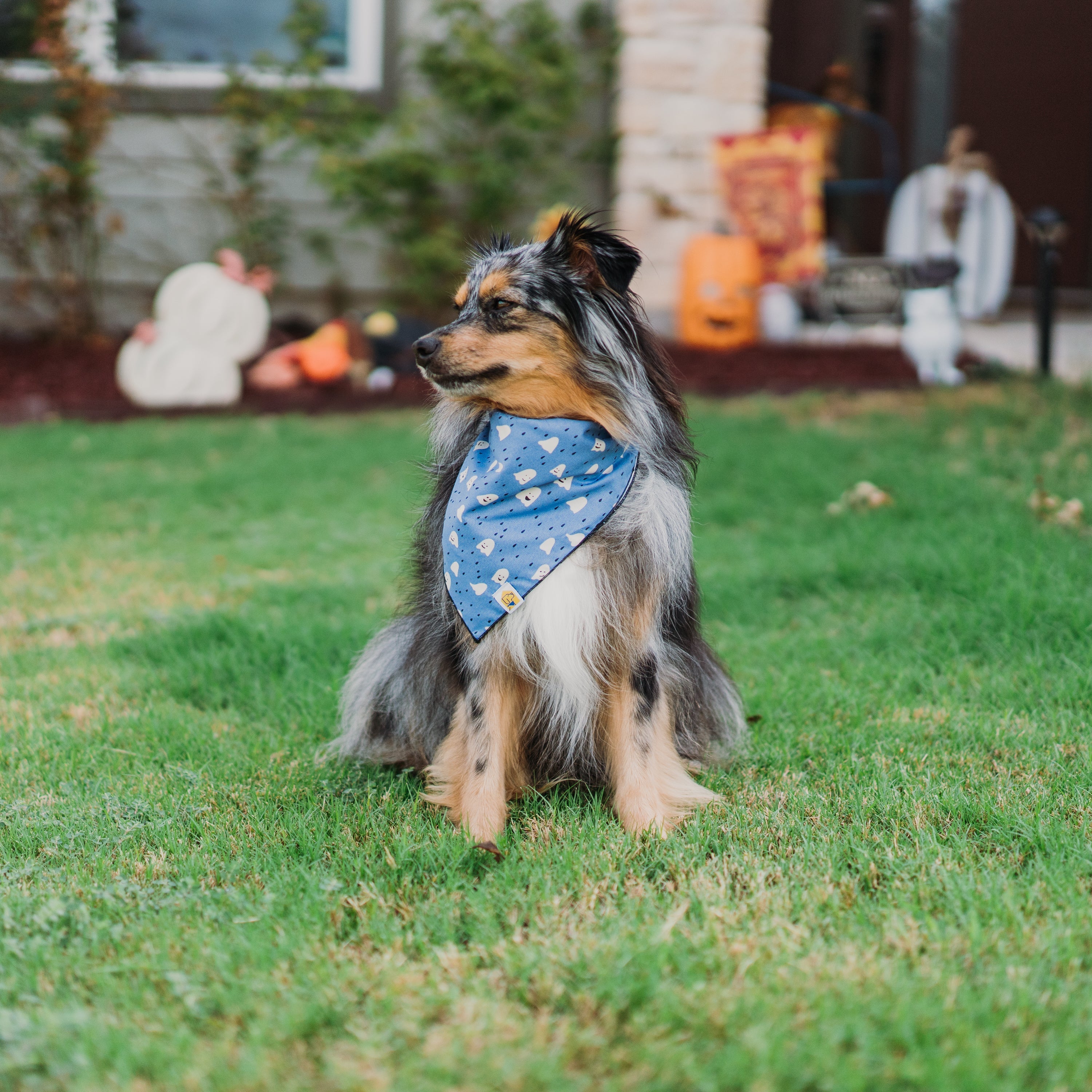 Bluey Boos Dog Bandana