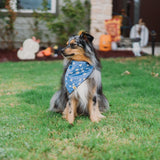 Bluey Boos Dog Bandana