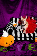 Chic Comfort Black and White Striped Sofa Dog Bed
