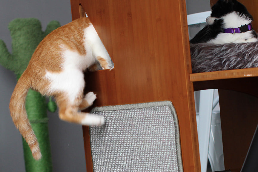 The Overlook - Sturdy - Bamboo Cat Tree by Catastrophic Creations