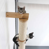 Horizontal Scratching Post for Cats by Catastrophic Creations