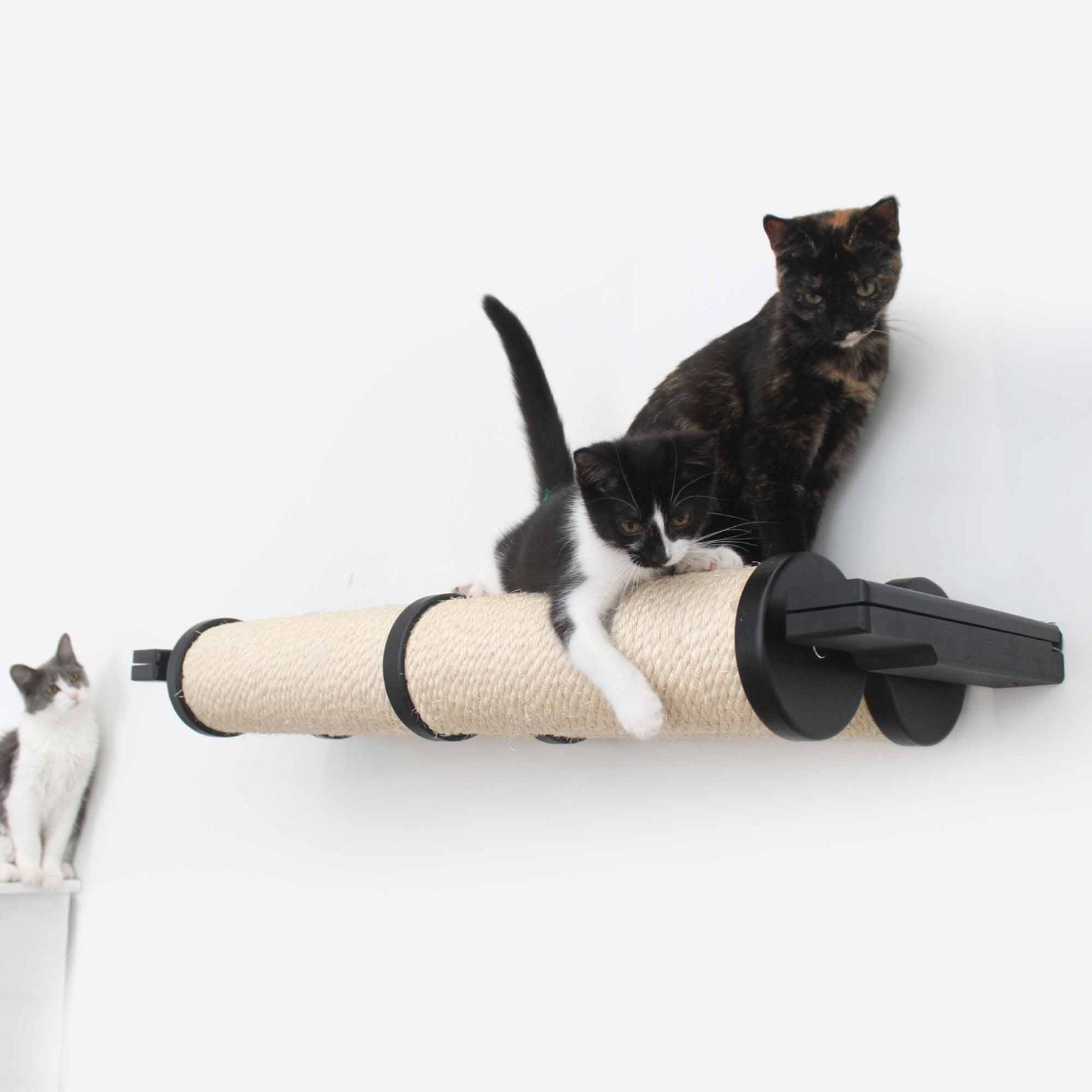 Horizontal Scratching Post for Cats by Catastrophic Creations