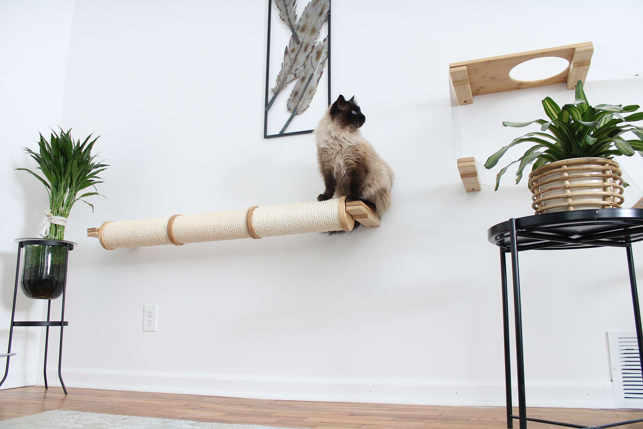 Horizontal Scratching Post for Cats by Catastrophic Creations