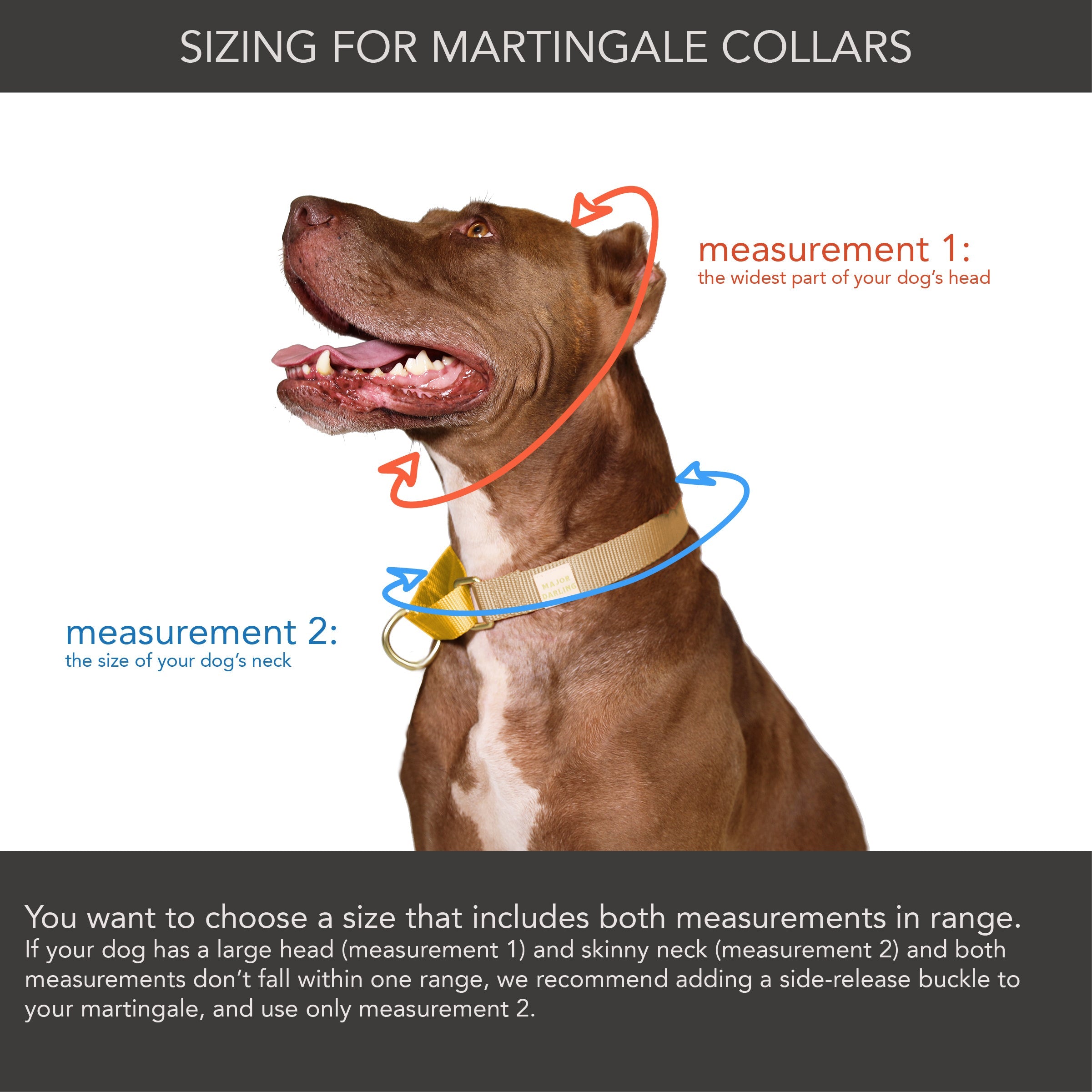 martingale collar / serape + navy