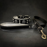 "Hektor" collar