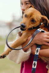White and Blue Polo Dog Leash
