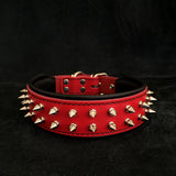 Red "Frenchie" collar