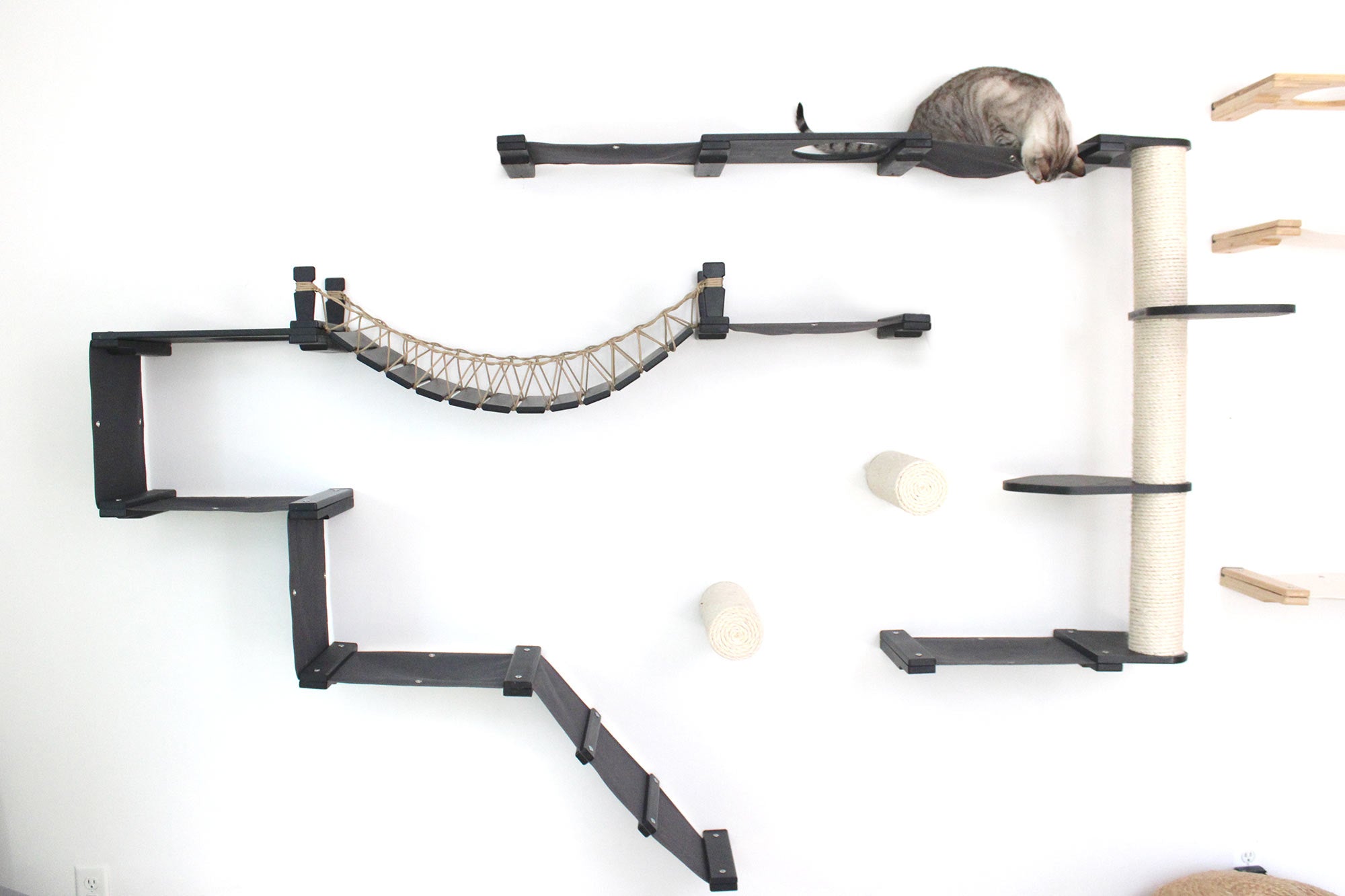 The Juggernaut - Indoor Cat Playground for Wall by Catastrophic Creations