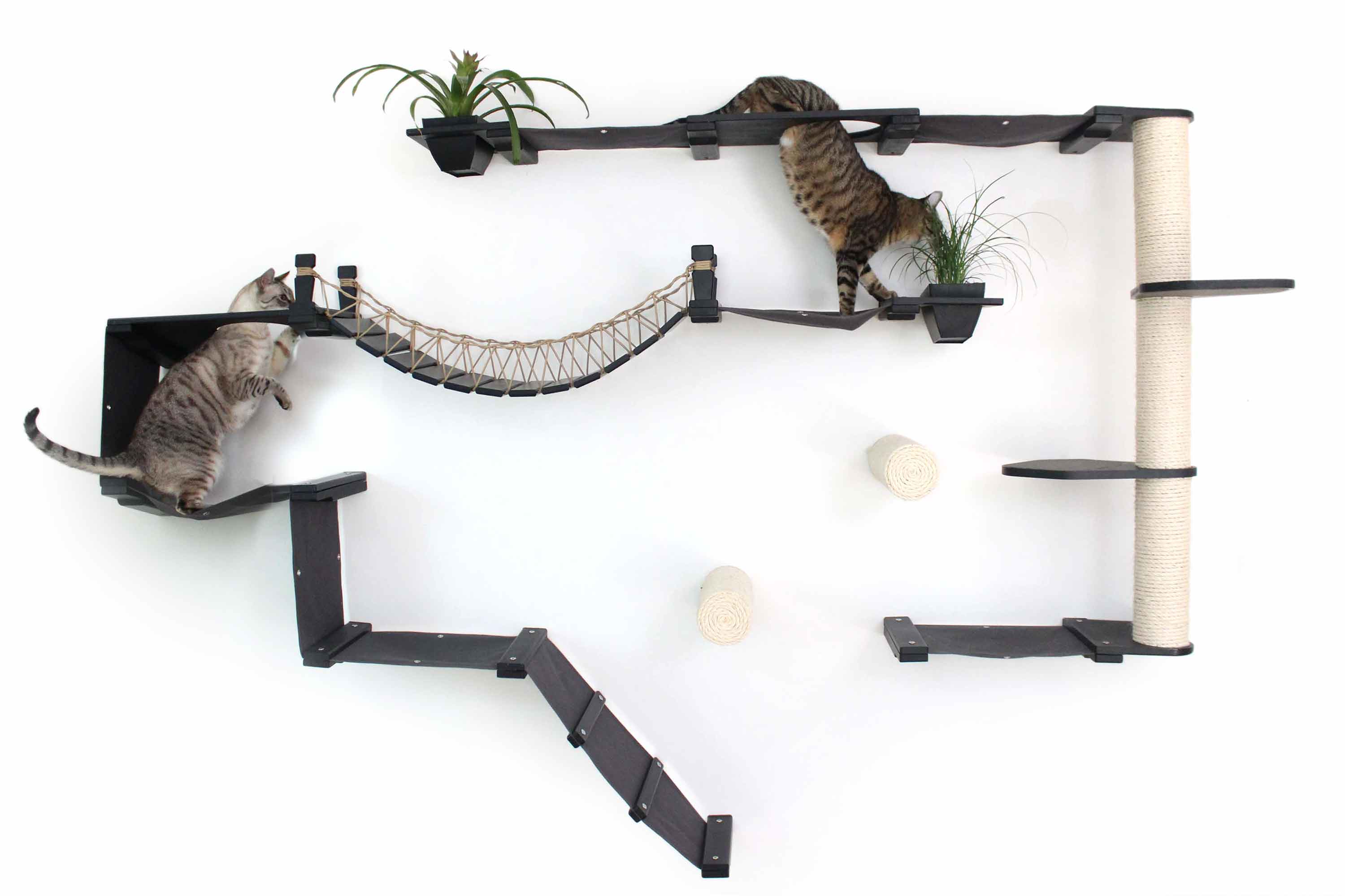 The Juggernaut - Indoor Cat Playground for Wall by Catastrophic Creations