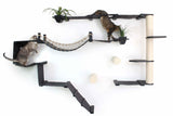 The Juggernaut - Indoor Cat Playground for Wall by Catastrophic Creations