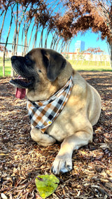 Tobacco Plaid Dog Bandana