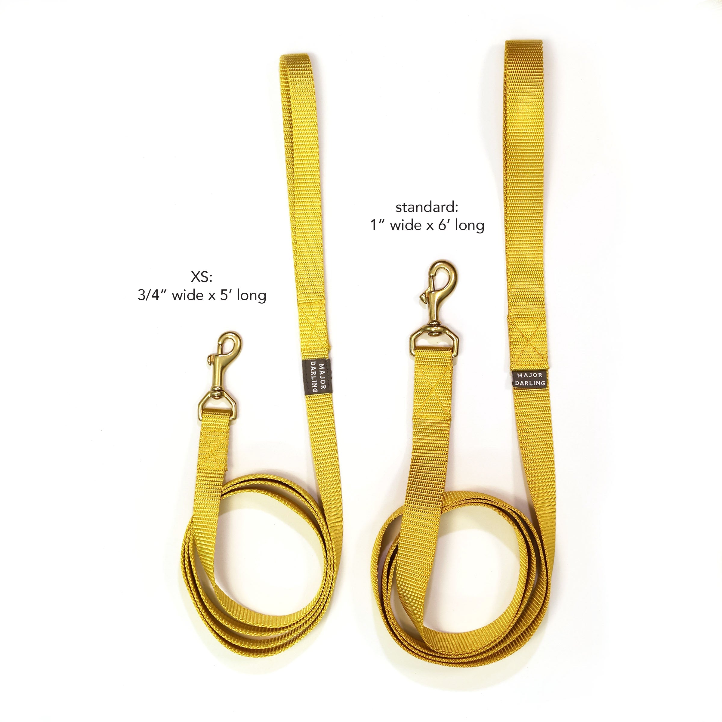basic leash