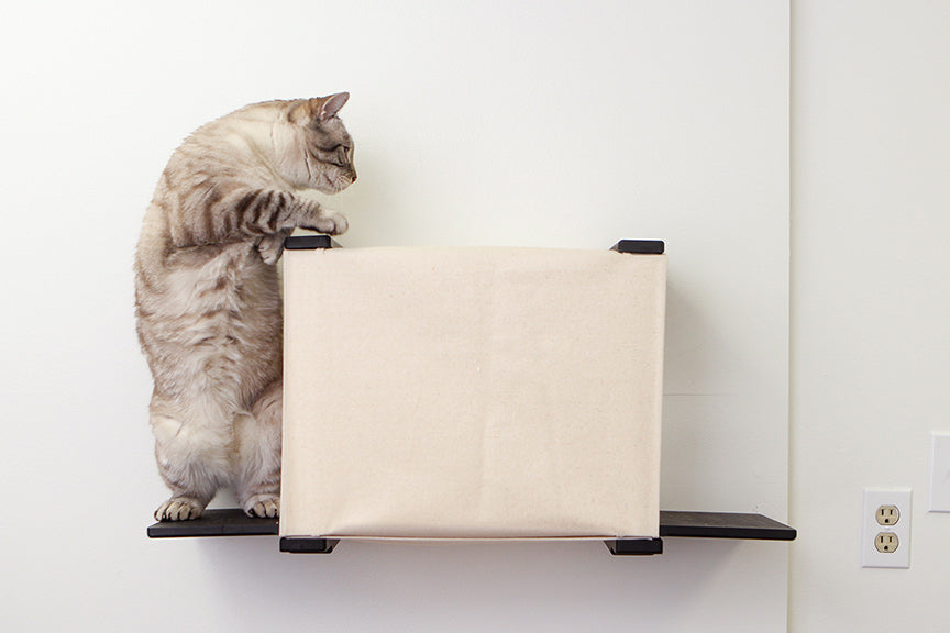Cat Cubby for Wall - Covered Cat Bed by Catastrophic Creations
