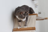 The Lift- Cat Hammock Bed by Catastrophic Creations