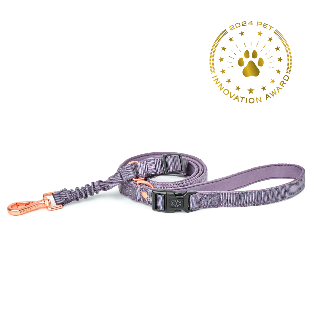 City Dog Leash - Lilac Gray