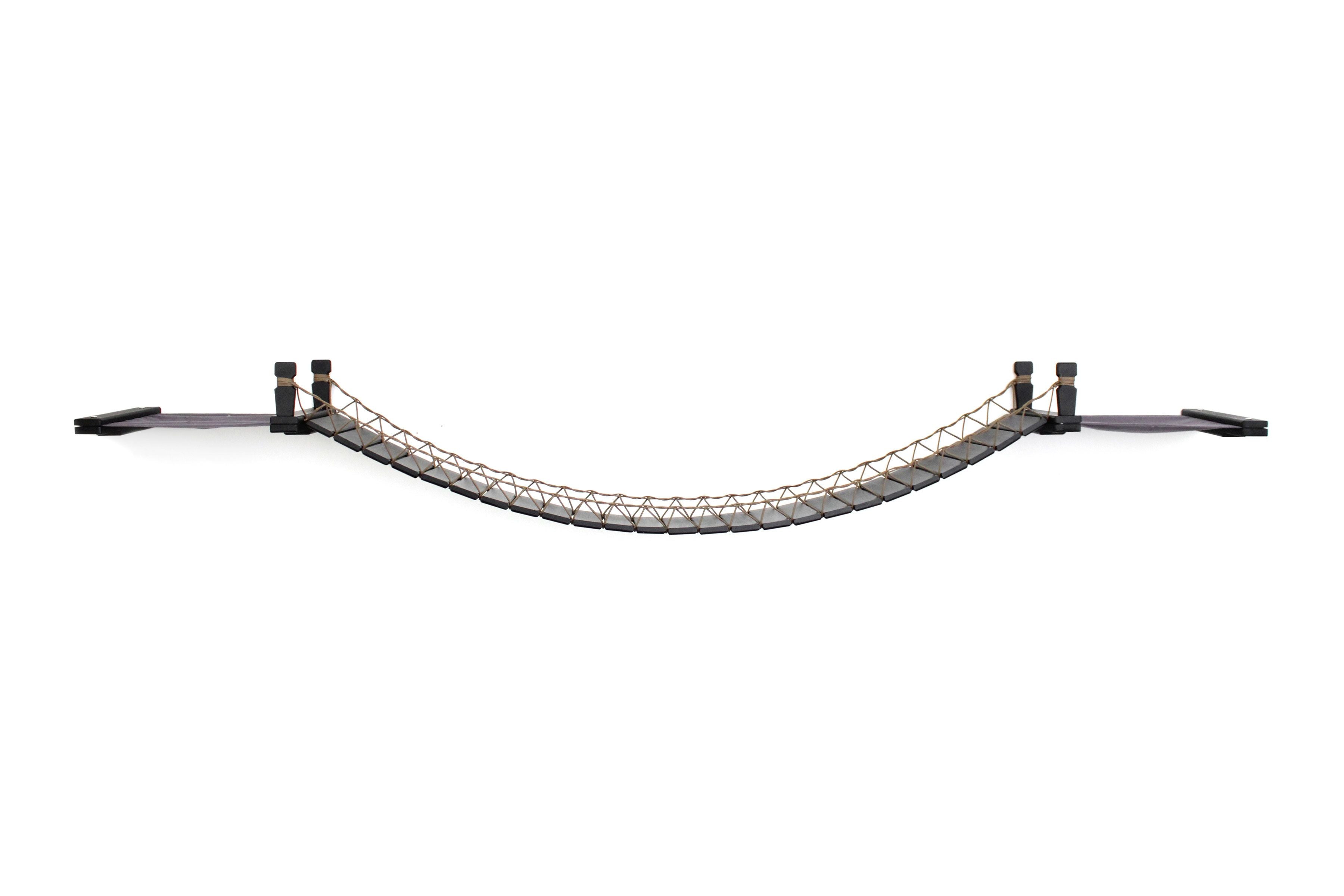 Double Cat Hammock and Climbing Bridge Combo by Catastrophic Creations
