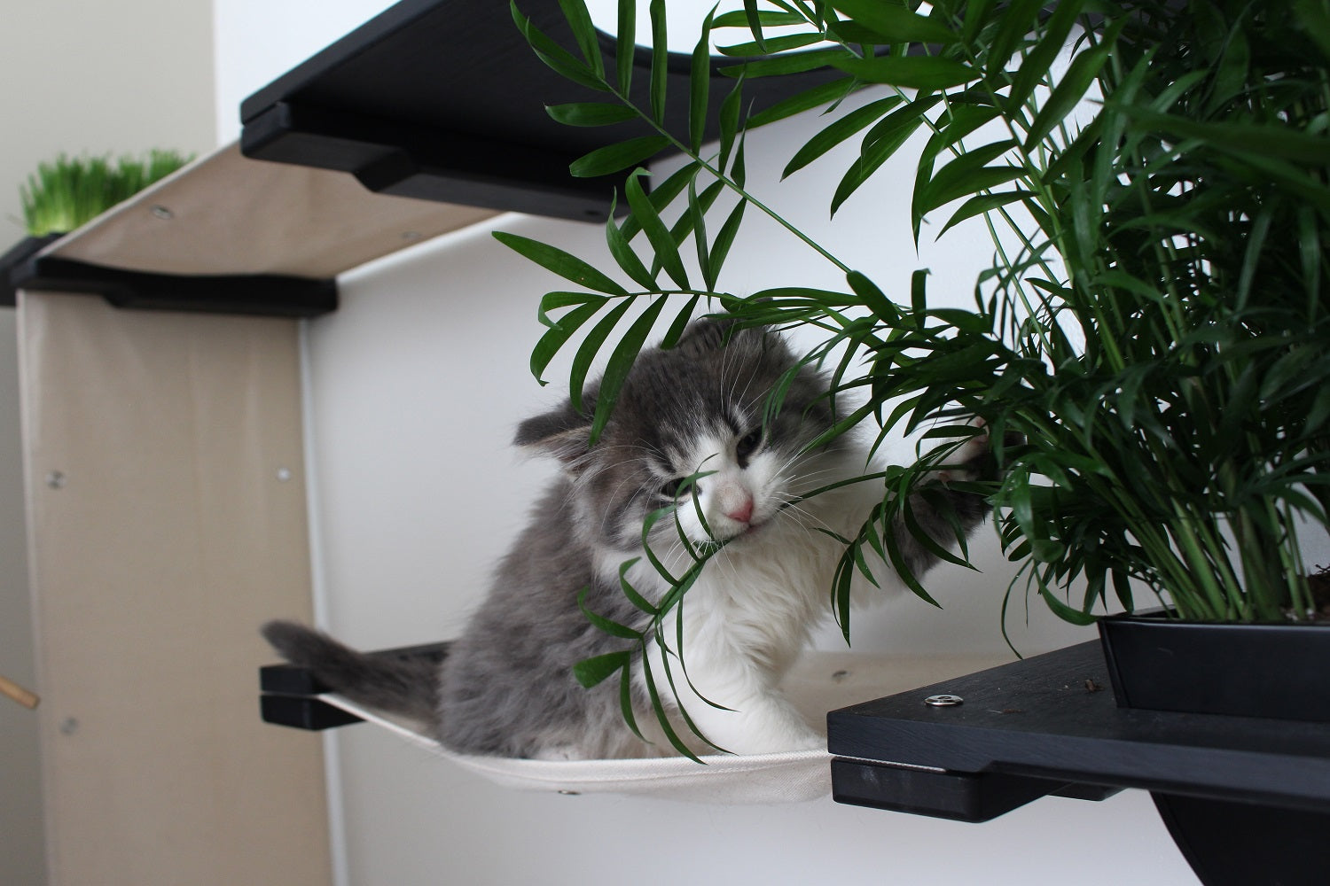 The Gardens - Modern Cat Tree with Plants by Catastrophic Creations