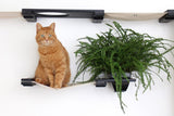 The Gardens - Modern Cat Tree with Plants by Catastrophic Creations