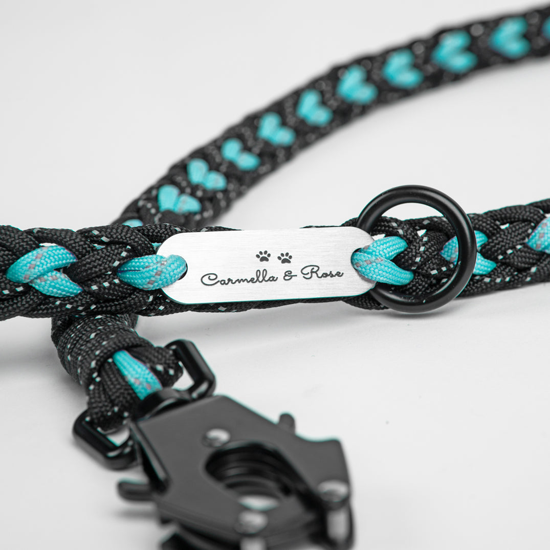 Forever Leash