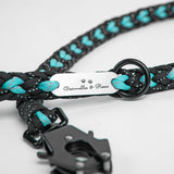 Forever Leash