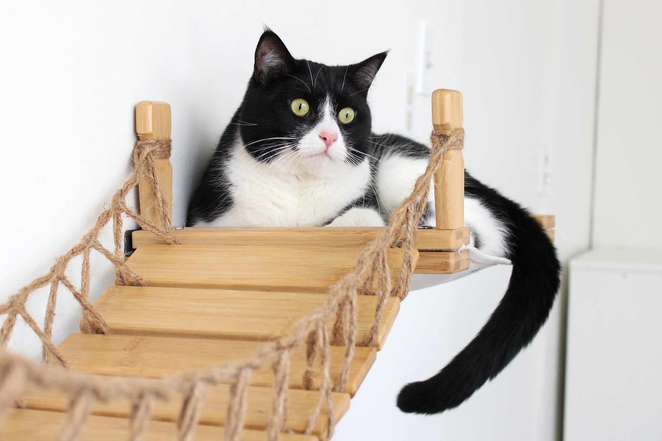 Double Cat Hammock and Climbing Bridge Combo by Catastrophic Creations