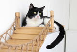 Double Cat Hammock and Climbing Bridge Combo by Catastrophic Creations